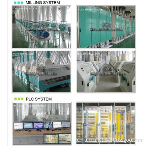 300T/24H flour milling plant